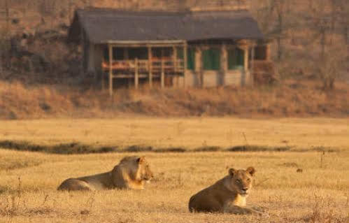 Sanctuary Makanyane Safari Lodge Madikwe Game Reserve Exteriér fotografie