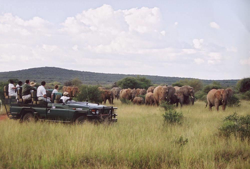 Sanctuary Makanyane Safari Lodge Madikwe Game Reserve Exteriér fotografie